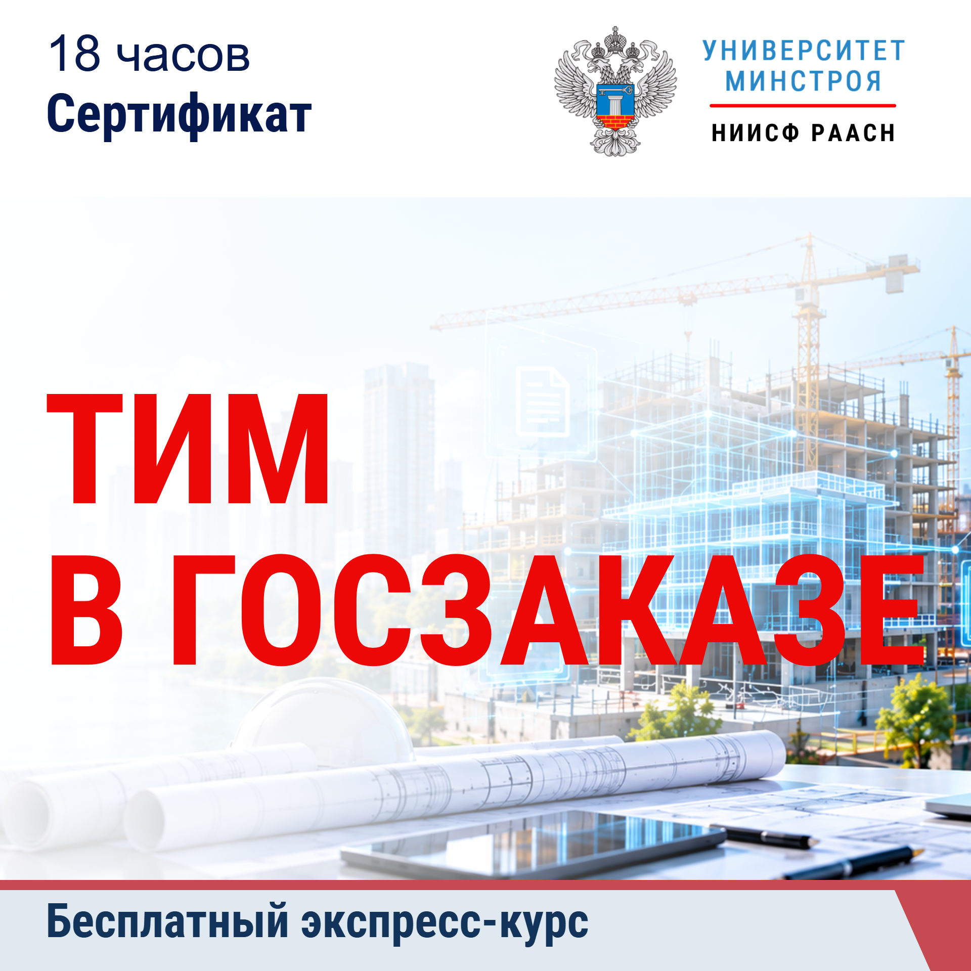Бесплатный экспресс-курс. ТИМ в госзаказе